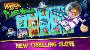 kuli14 taruhan olahraga platform mobile live betting sepak bola NBA esports Indonesia